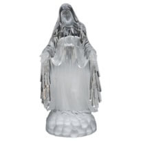 IMAGEM NOSSA SENHORA DAS GRAÇAS ACRÍLICO COM LUZ 20CM DE ALTURA
