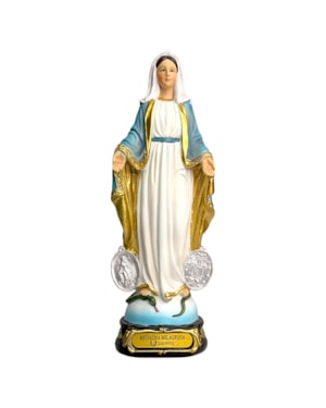 IMAGEM NOSSA SENHORA DAS GRAÇAS COM MEDALHA 20CM DE ALTURA