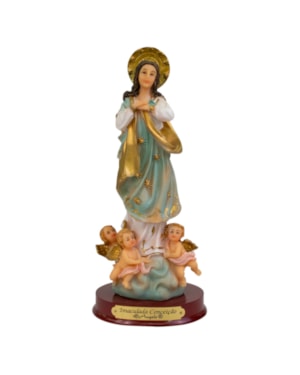 IMAGEM NOSSA SENHORA IMACULADA CONCEIÇÃO 20CM DE ALTURA