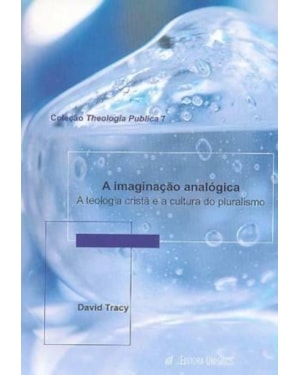 IMAGINACAO ANALOGICA, A