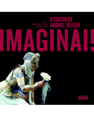 IMAGINAI: O TEATRO DE GABRIEL VILLELA