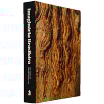 IMAGINÁRIA BRASILEIRA: NA COLEÇÃO ORANDI MOMESSO