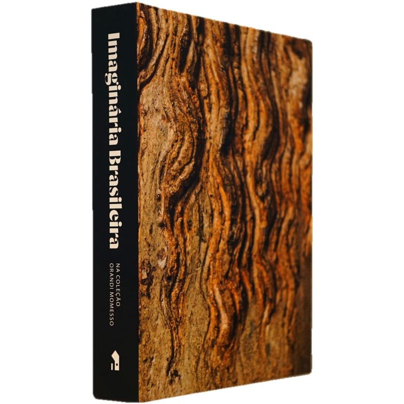 IMAGINÁRIA BRASILEIRA: NA COLEÇÃO ORANDI MOMESSO