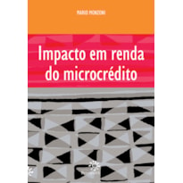 IMPACTO EM RENDA NO MICROCRÉDITO