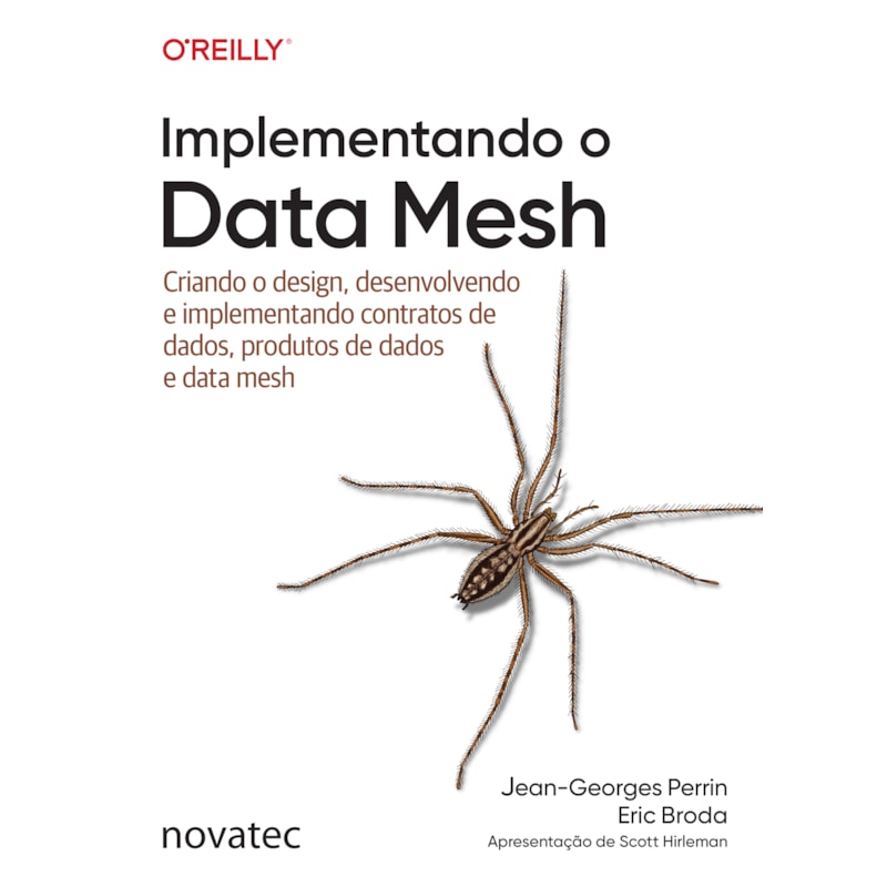 IMPLEMENTANDO O DATA MESH