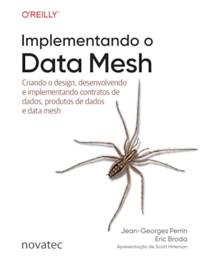 IMPLEMENTANDO O DATA MESH