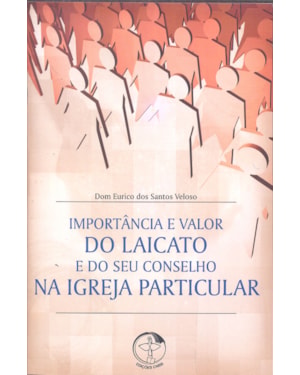 Importancia e valor do laicato e do seu