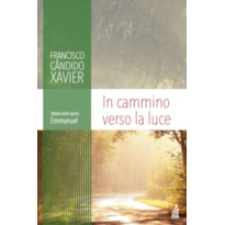 In cammino verso la luce (A Caminho da luz - Italiano): opera medianica