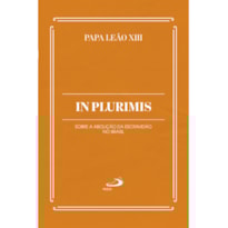 IN PLURIMIS - SOBRE A ABOLIÇÃO DA ESCRAVIDÃO NO BRASIL