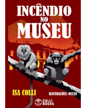 INCÊNDIO NO MUSEU