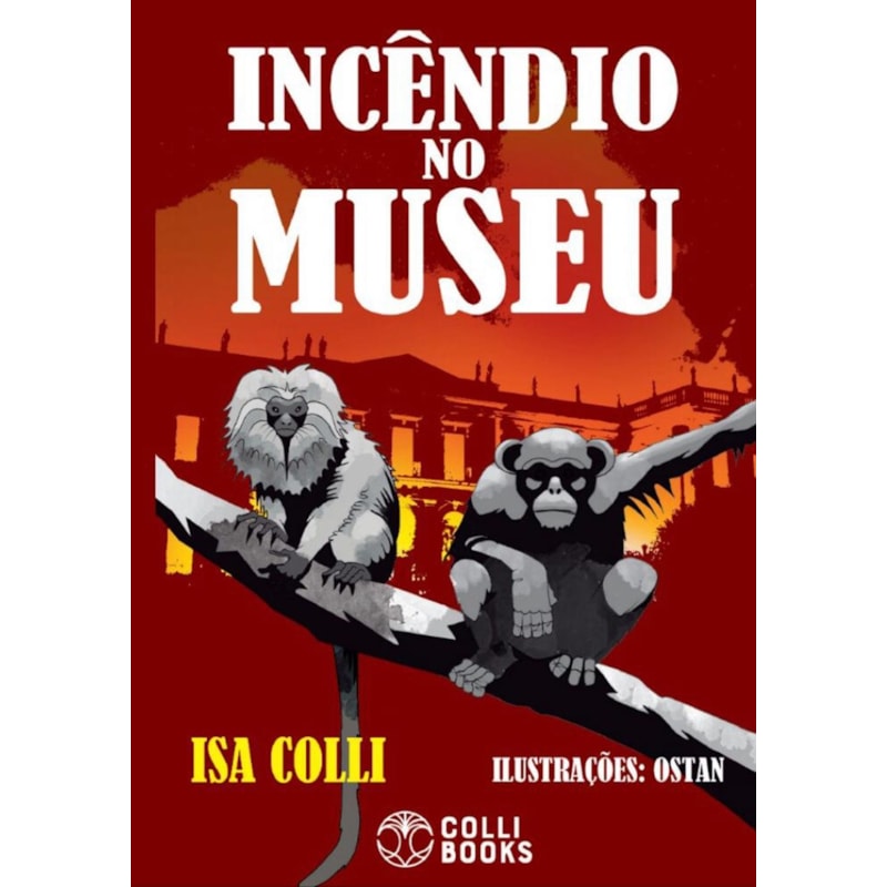 INCÊNDIO NO MUSEU