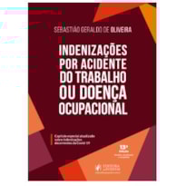 INDENIZAÇÕES POR ACIDENTE DO TRABALHO OU DOENÇA OCUPACIONAL