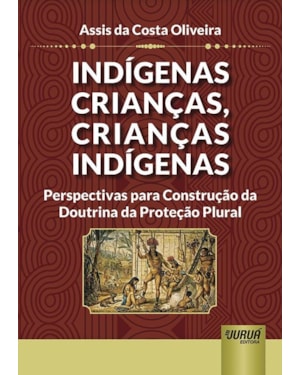 INDÍGENAS CRIANÇAS, CRIANÇAS INDÍGENAS - PERSPECTIVAS PARA CONSTRUÇÃO DA DOUTRINA DA PROTEÇÃO PLURAL