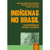 INDÍGENAS NO BRASIL - (IN)VISIBILIDADE SOCIAL E JURÍDICA