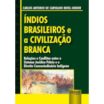 ÍNDIOS BRASILEIROS E A CIVILIZAÇÃO BRANCA - RELAÇÕES E CONFLITOS ENTRE O SISTEMA JURÍDICO PÁTRIO E O DIREITO CONSUETUDINÁRIO INDÍGENA