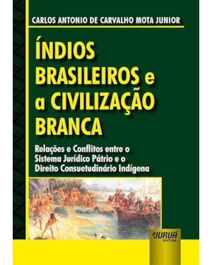 ÍNDIOS BRASILEIROS E A CIVILIZAÇÃO BRANCA - RELAÇÕES E CONFLITOS ENTRE O SISTEMA JURÍDICO PÁTRIO E O DIREITO CONSUETUDINÁRIO INDÍGENA