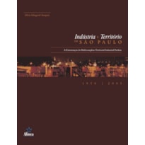 INDUSTRIA E TERRITORIO EM SAO PAULO - A ESTRUTURACAO DO MULTICOMPLEXO TERRI - 1