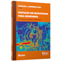 Inovação em refratários para siderurgia: casos reais de solução de problemas