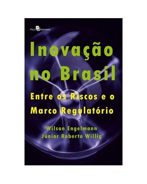 Inovação no Brasil: entre os riscos e o marco regulatório