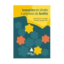 INOVAÇÕES EM DIREITO E PROCESSO DE FAMÍLIA