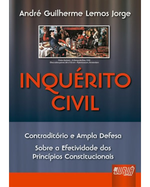 INQUÉRITO CIVIL - CONTRADITÓRIO E AMPLA DEFESA. SOBRE A EFETIVIDADE DOS PRINCÍPIOS CONSTITUCIONAIS
