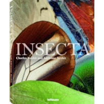 Insecta