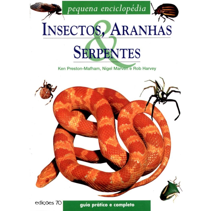 Insectos, aranhas e serpentes: pequena enciclopédia