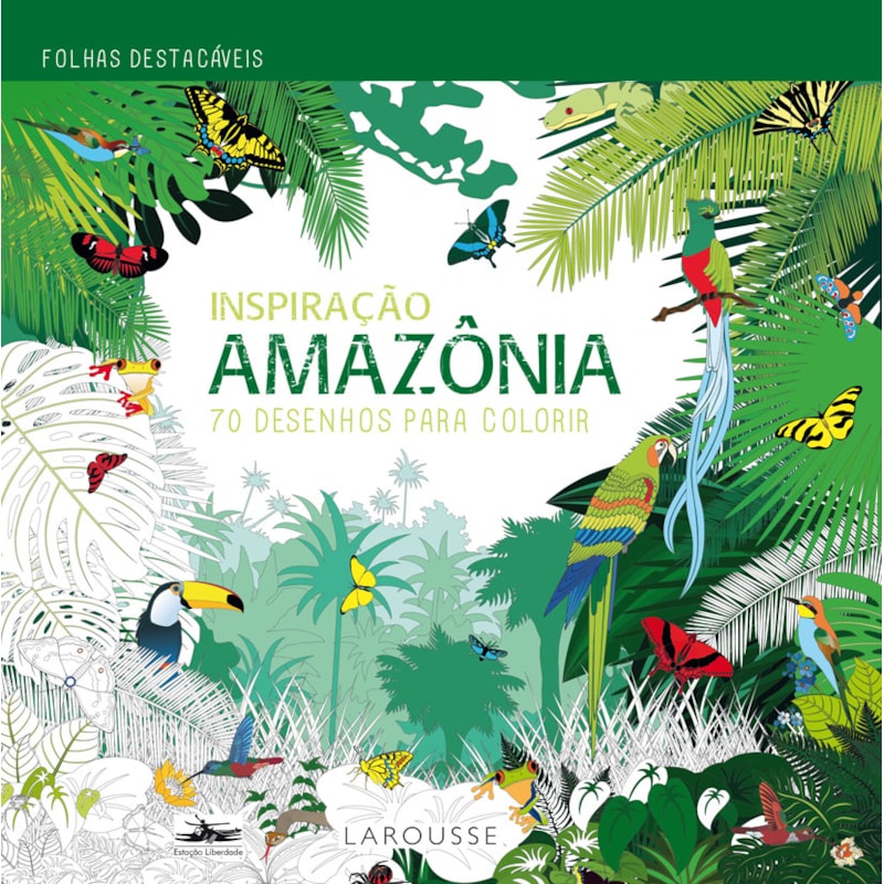 INSPIRAÇÃO AMAZÔNIA