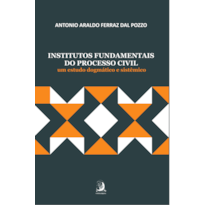 Institutos Fundamentais Do Processo Civil: um estudo dogmático e sistêmico