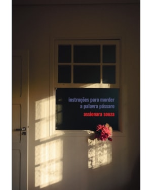 Instruções para morder a palavra pássaro