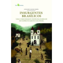 Insurgentes Brasílicos: uma comunidade indígena rebelde no Espírito Santo colonial