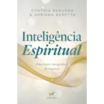 INTELIGÊNCIA ESPIRITUAL: UMA FONTE INESGOTÁVEL DE RIQUEZA