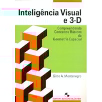 INTELIGÊNCIA VISUAL E 3-D