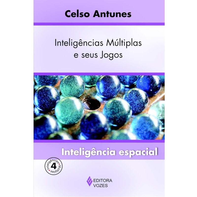 INTELIGÊNCIAS MÚLTIPLAS E SEU JOGOS VOL. 4 - INTELIGÊNCIA ESPACIAL
