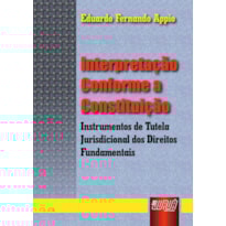 INTERPRETAÇÃO CONFORME A CONSTITUIÇÃO INTERPRETAÇÃO CONFORME A CONSTITUIÇÃO