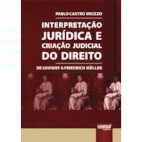 INTERPRETAÇÃO JURÍDICA E CRIAÇÃO JUDICIAL DO DIREITO - DE SAVIGNY A FRIEDRICH MÜLLER