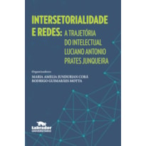 INTERSETORIALIDADE E REDES: A TRAJETÓRIA DO INTELECTUAL LUCIANO ANTONIO PRATES JUNQUEIRA