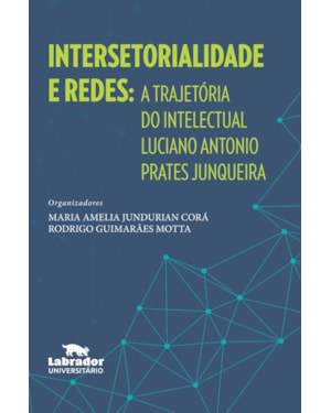 INTERSETORIALIDADE E REDES: A TRAJETÓRIA DO INTELECTUAL LUCIANO ANTONIO PRATES JUNQUEIRA