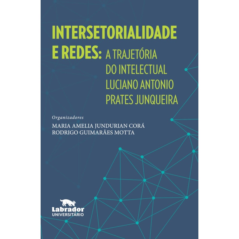 INTERSETORIALIDADE E REDES: A TRAJETÓRIA DO INTELECTUAL LUCIANO ANTONIO PRATES JUNQUEIRA