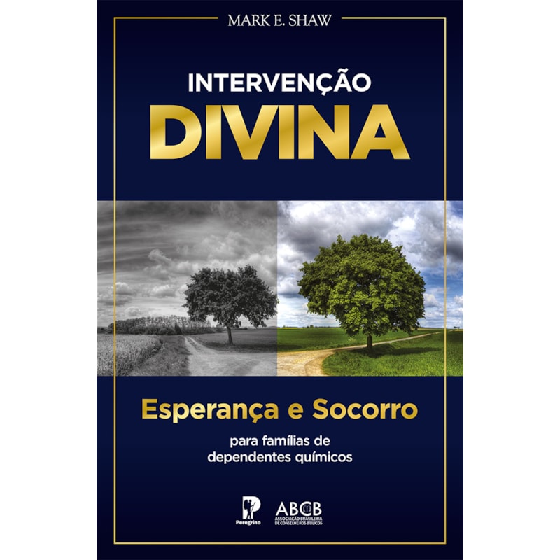 INTERVENÇÃO DIVINA: ESPERANÇA E SOCORRO PARA FAMÍLIAS DE DEPENDENTES QUÍMICOS
