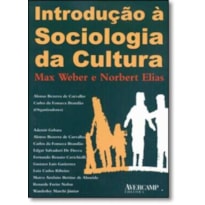 INTRODUCAO A SOCIOLOGIA DA CULTURA