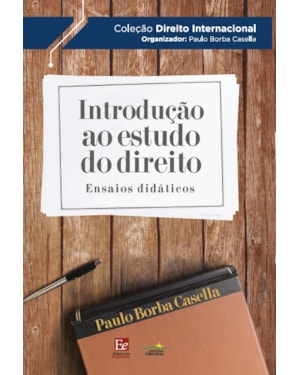 INTRODUÇÃO AO ESTUDO DO DIREITO: ENSAIOS DIDÁTICOS