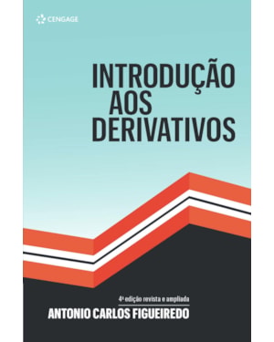 INTRODUÇÃO AOS DERIVATIVOS