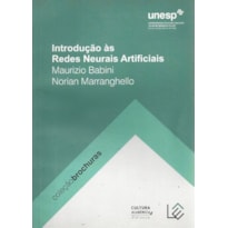 INTRODUÇÃO ÀS REDES NEURAIS ARTIFICIAIS