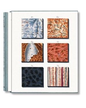 Jan christiaan sepp. the book of marble: the book of marble