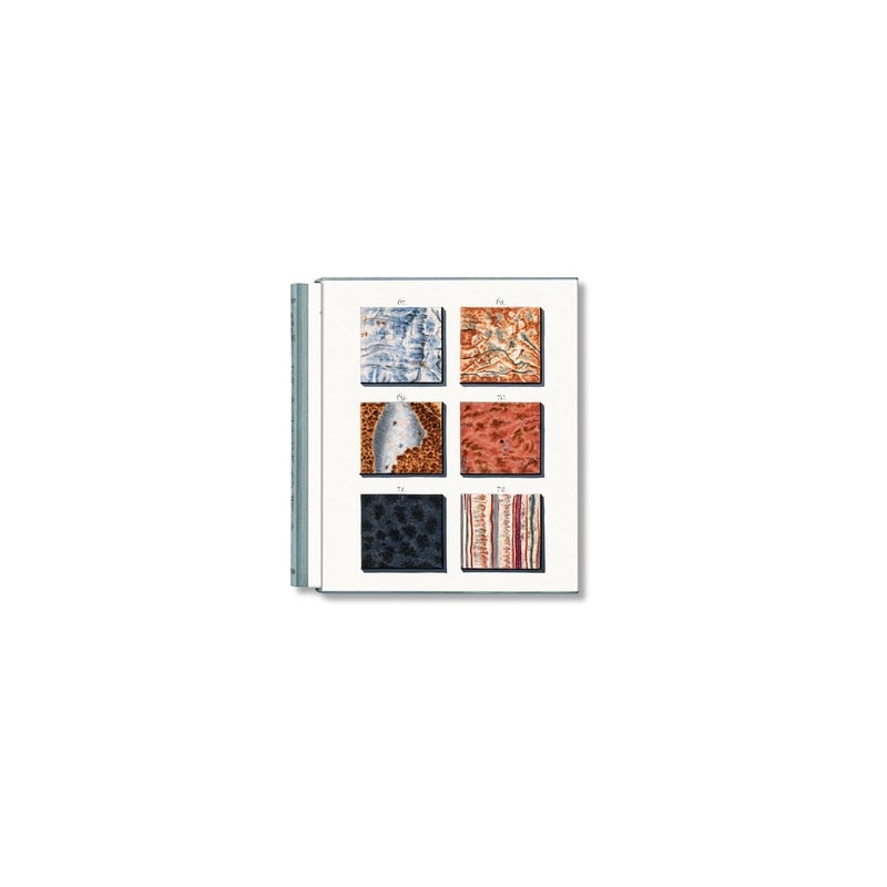 Jan christiaan sepp. the book of marble: the book of marble