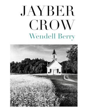 JAYBER CROW
