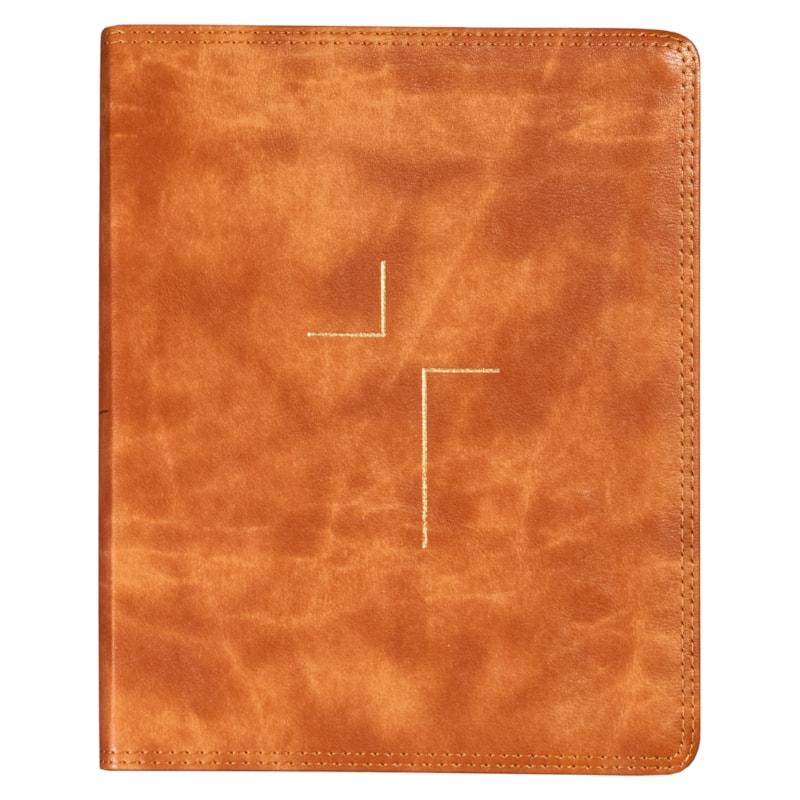 JESUS BIBLE NVI COM ESPAÇO PARA ANOTAÇÕES, CAPA LUXO MARROM, LEITURA PERFEITA