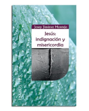 JESUS INDIGNACION Y MISERICORDIA