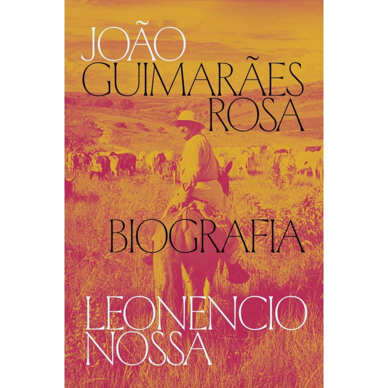 JOÃO GUIMARÃES ROSA, BIOGRAFIA
